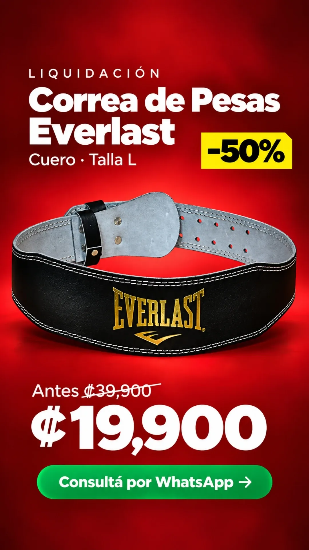 Correa de Pesas Everlast Cuero Talla L ₡19,900
