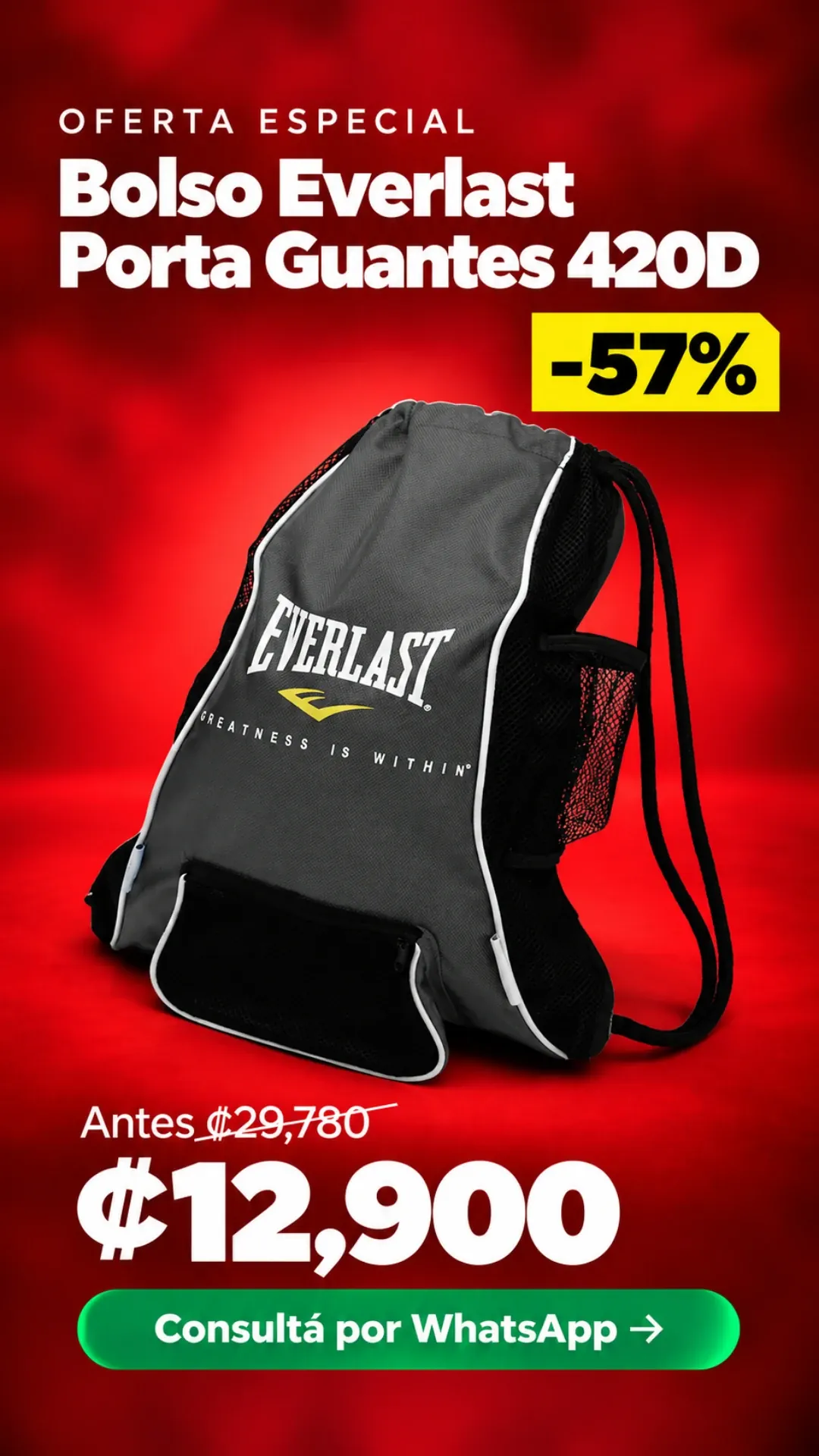 Bolso Everlast Porta Guantes 420D ₡12,900